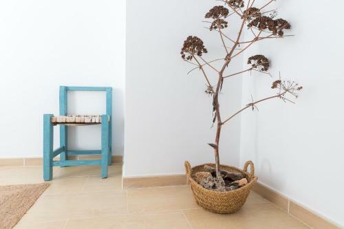Apartamento Menorca Blue