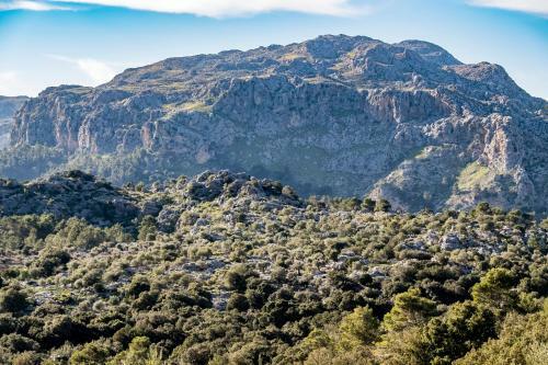 Agroturismo Son Alzines