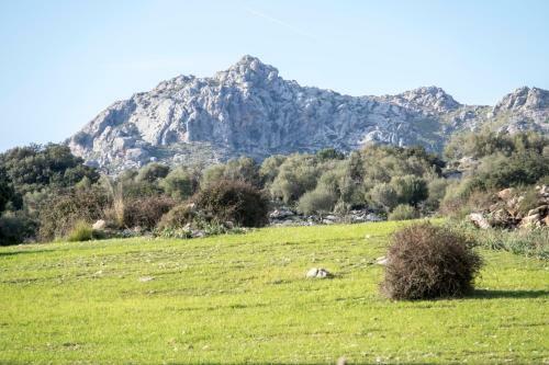 Agroturismo Son Alzines