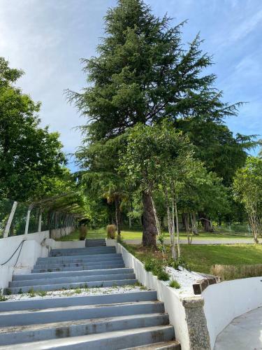 Albergue Mirador de Pedrouzo