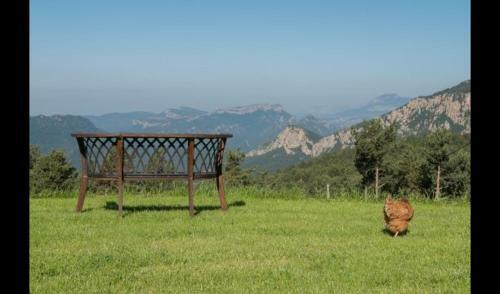 Castellar Del Riu Villa Sleeps 26 With Pool