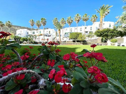 Estupendo Apartamento de Un Dormitorio, Cerca de Playa, Los Cancajos