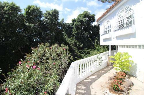 Sunny House, Chayofa