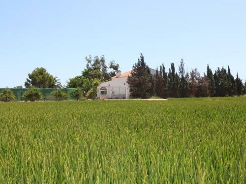 Quaint Holiday Home In Sant Jaume D'enveja With Pool