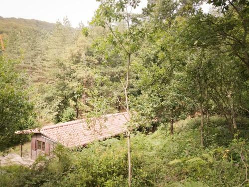 Lodge Caba�as En El Bosque - Adults Only