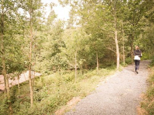 Lodge Caba�as En El Bosque - Adults Only