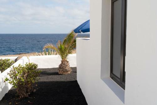 Apartamento Bungalows Delmar Natur