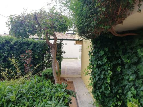 Apartamento Xeracsol I