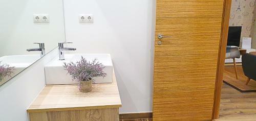 Apartamentos Antares Sl