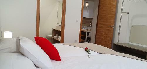 Apartamentos Antares Sl