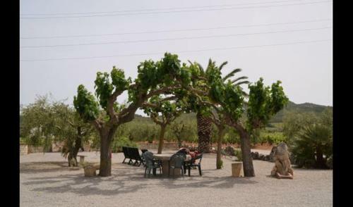 Sant Pere Molanta Apartment Sleeps 4 With Pool