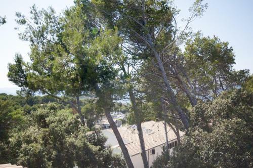 Apartamento Treboll Con Piscina Privada