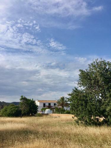Cas Catal� Sant Jordi