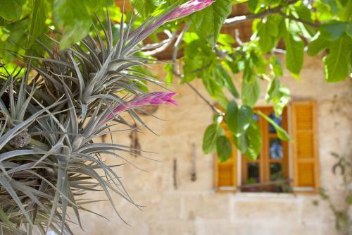 Villa Sa Vinya Des Compte