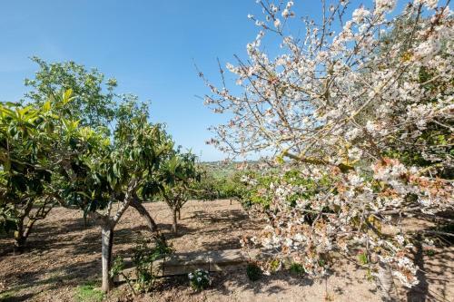 Sa Caseta Des Padr� 053