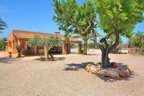 Son Morro Finca 230