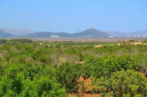 Son Morro Finca 230