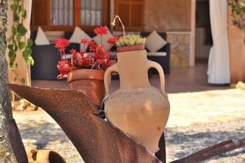 Son Morro Finca 230