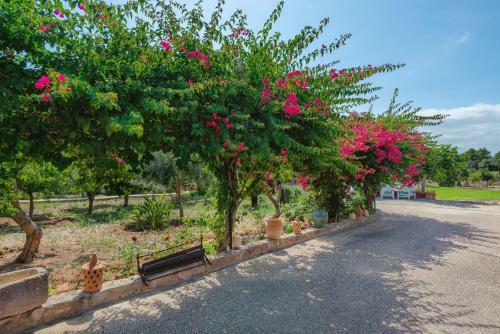 Villa Can Calafat