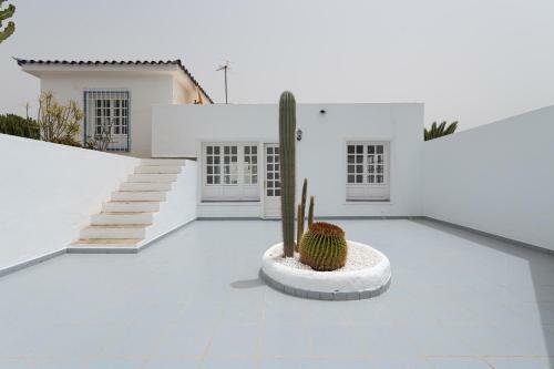 Pasito Blanco Casa Mar