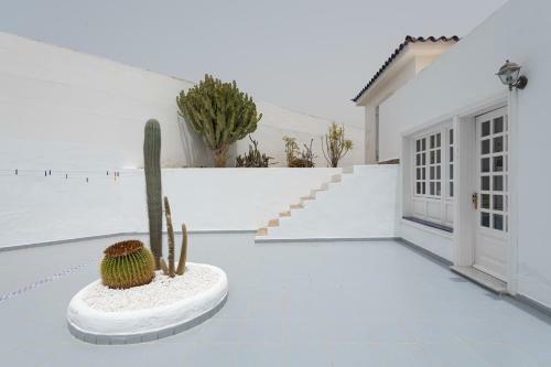 Pasito Blanco Casa Mar