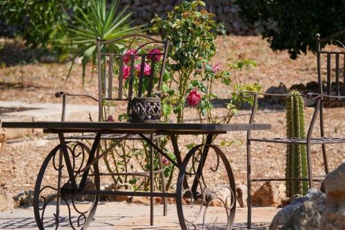 Finca Fonoll