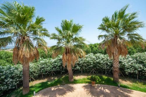 Finca Son Manyo Suite