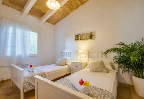 Apartment In Cala Mesquida Sleeps 4 With Pool Air Con And Wifi