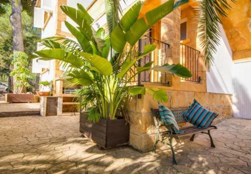 Apartment In Cala Mesquida Sleeps 4 With Pool Air Con And Wifi