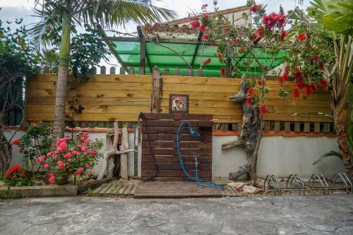 Riumar "carmen 3", 500m To Beach, Private Pool, On-site-service, Dog Beach