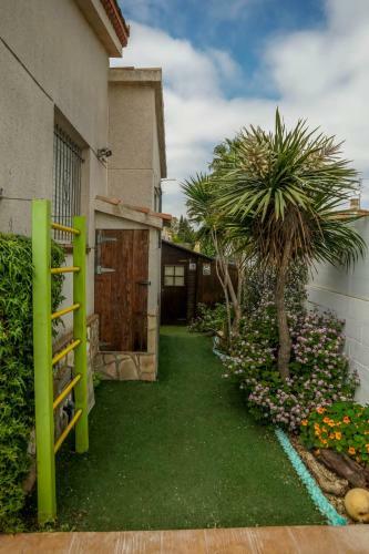 Riumar "carmen 3", 500m To Beach, Private Pool, On-site-service, Dog Beach