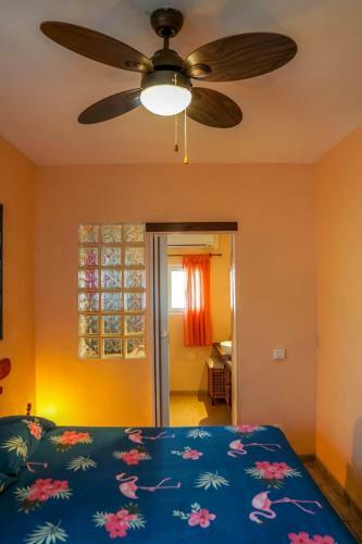 Riumar "carmen 3", 500m To Beach, Private Pool, On-site-service, Dog Beach
