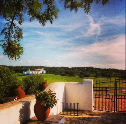 Herdade Da Negrita - Agroturismo