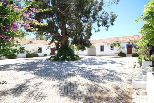 Herdade Da Negrita - Agroturismo