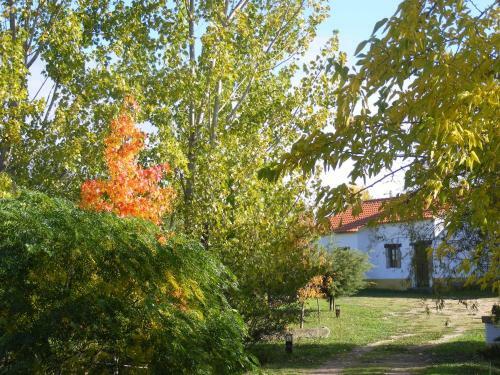 Agroturismo Quinta Dos Trevos