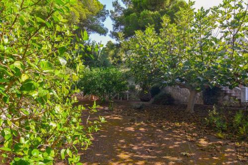 We Love Villas - Villa Escorpion