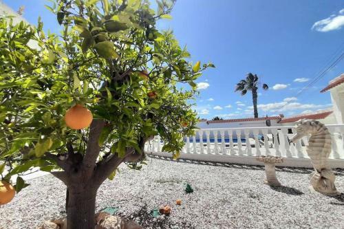 Had Villa Blanca Ciudad Quesada