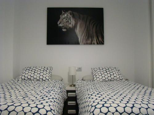 Apartamento Capri2-5