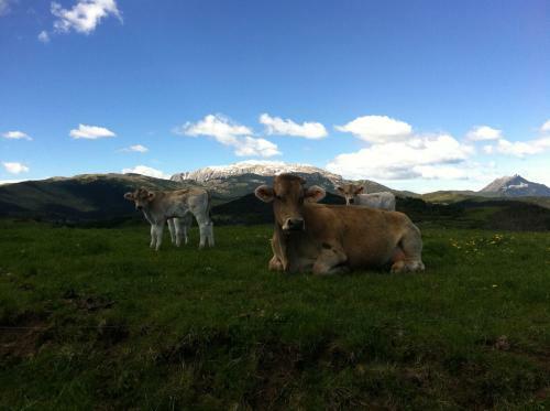 Agroturismo La Voz Del Silencio