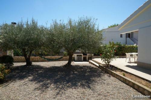 Wvp Villa Volanti