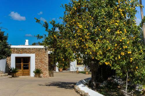 Villa Can Fita