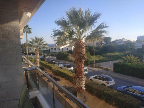 -- Front Line -- Apartments In Playa Flamenca