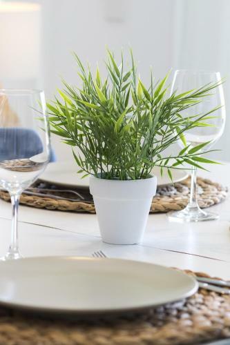 Apartamento Ag Mi Descanso Premium
