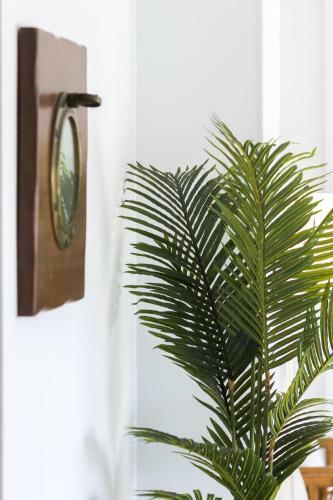 Apartamento Ag Mi Descanso Premium