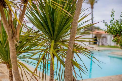 Binisafua Playa - Apartamento 23
