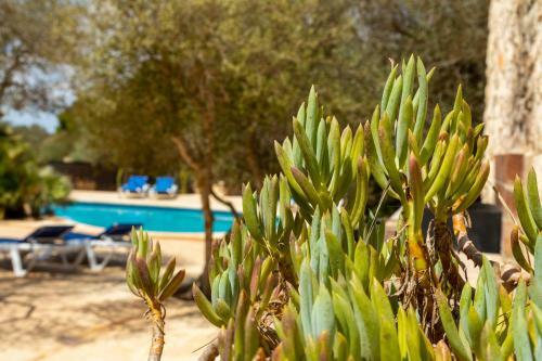 Finca Salmonia