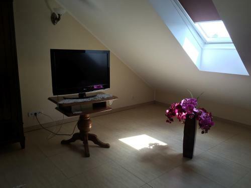 Hostal Apartamenty Galeria Trunk�w
