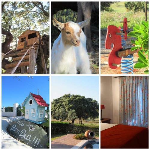 Hostal Agro-turismo Monte Da Galega