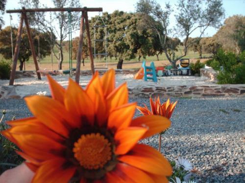 Hostal Agro-turismo Monte Da Galega