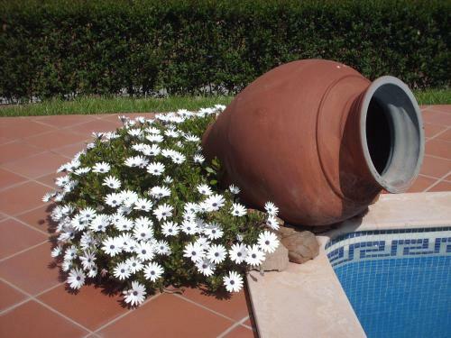 Hostal Agro-turismo Monte Da Galega